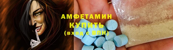 стаф Алзамай
