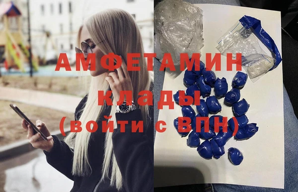 стаф Алзамай