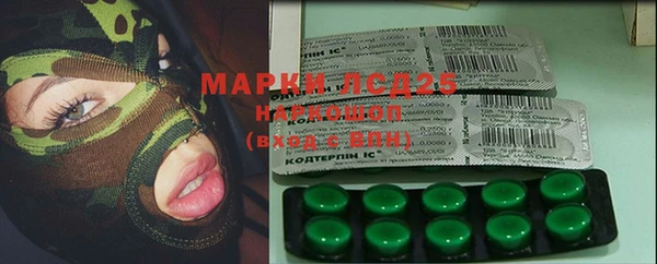 стаф Алзамай
