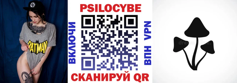закладки  Красноуральск  Галлюциногенные грибы Psilocybe 